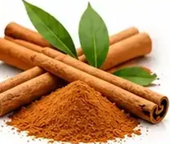 Cinnamon bark and ground cinnamon, the source of cinnamon bark extract